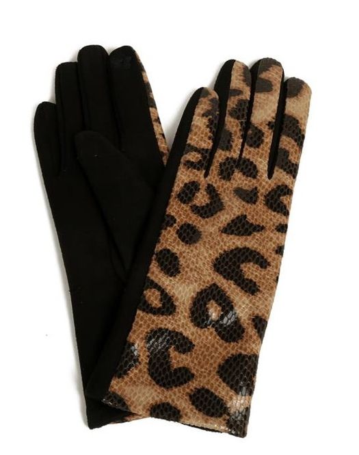 Huvudbild Fingervantar Touch Screen funktion. Leo Khaki